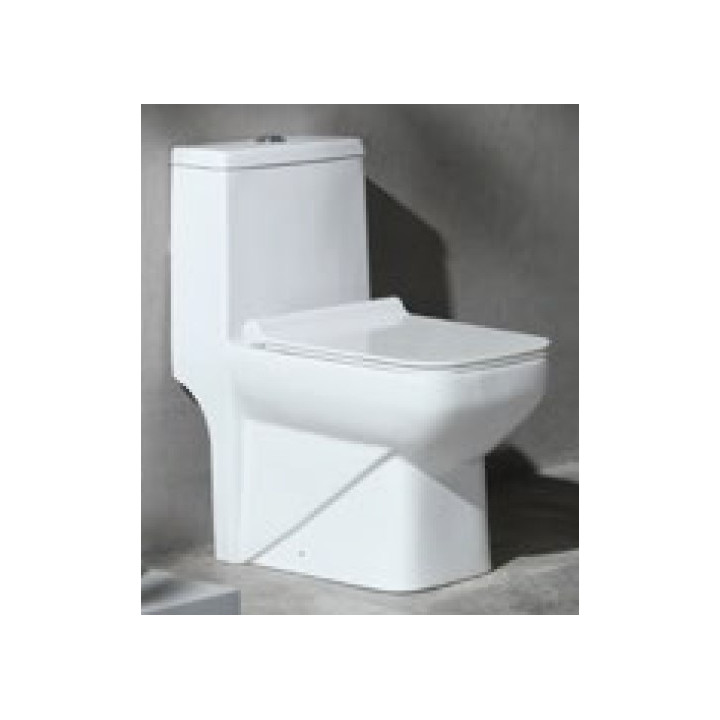 Pack WC S/H abattant frein de chute