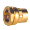 Raccord laiton SE droit D25 x 3/4" F