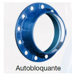 Adaptateur bride EASYSTOP DN300-315 pvc/pehd/bioriente pn16