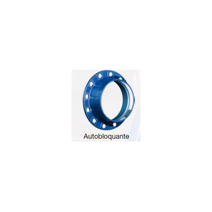 Adaptateur bride EASYSTOP DN300-315 pvc/pehd/bioriente pn16