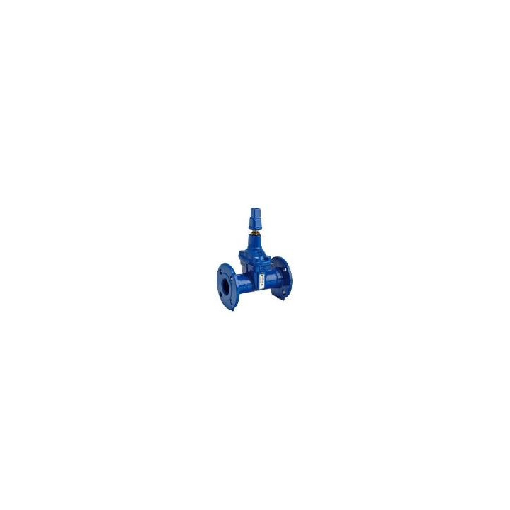 Vanne OCA INFINITY L DN250 PN16 PFA16 FAH ACS